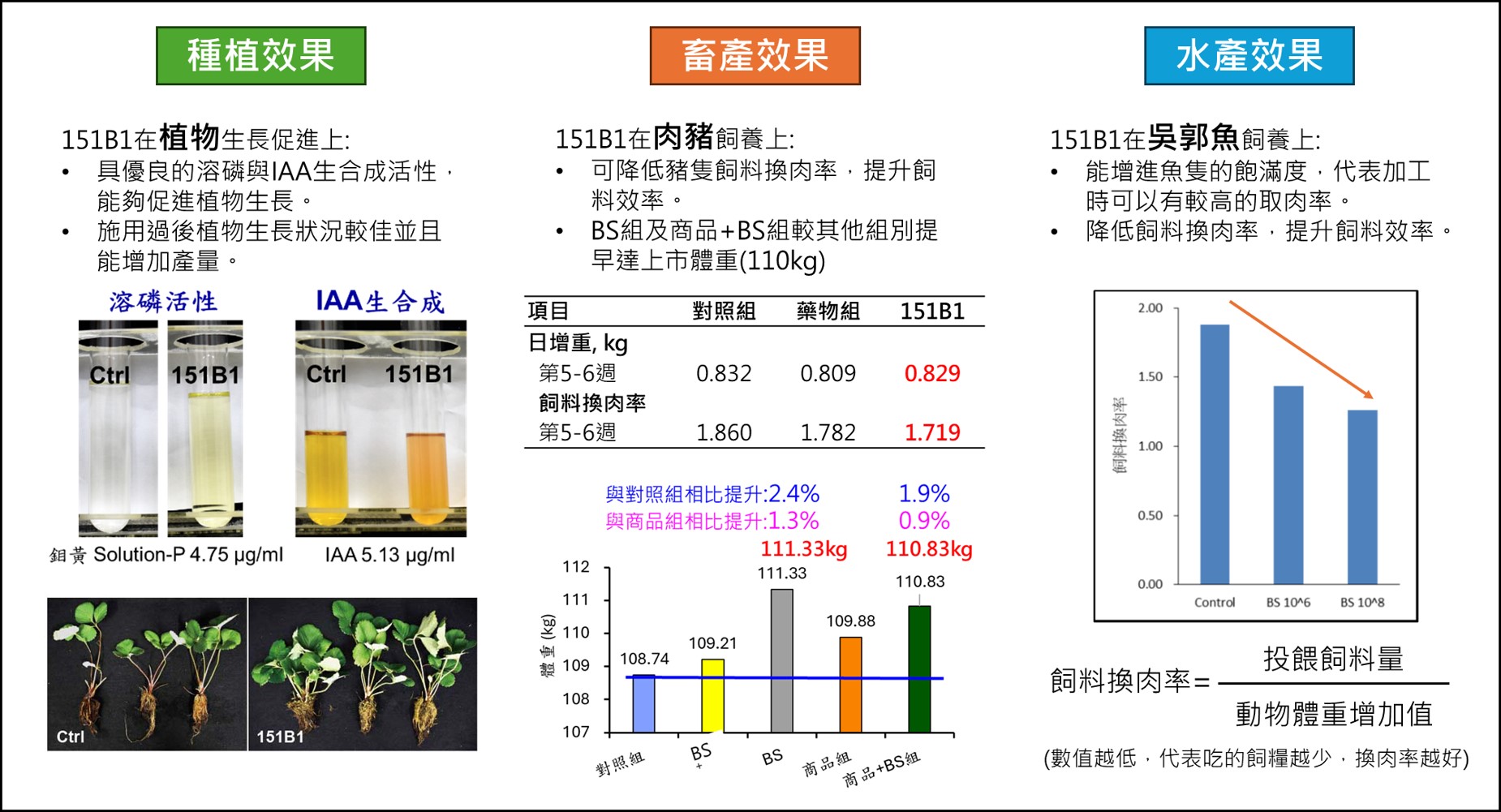 枯草桿菌151B1在農業上的應用